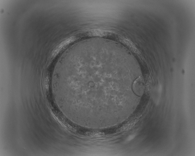 X0000085270683200703091352