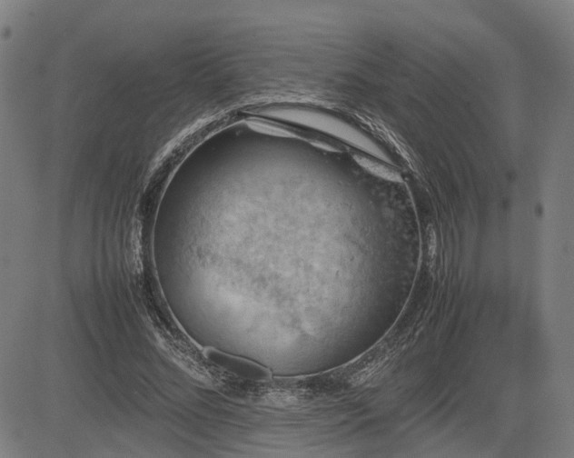 X0000085270684200703091352