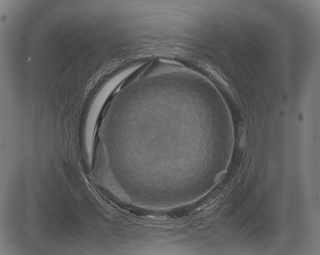 X0000085270685200703091352