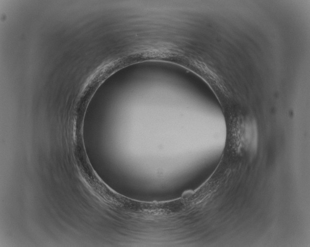 X0000085270686200703091352