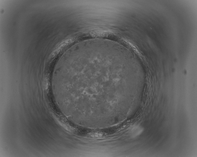 X0000085270687200703091352