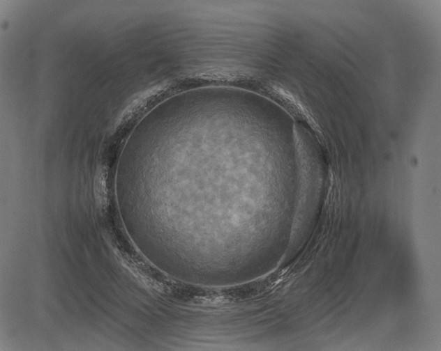 X0000085270688200703091352