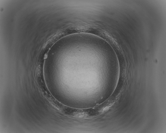 X0000085270689200703091352