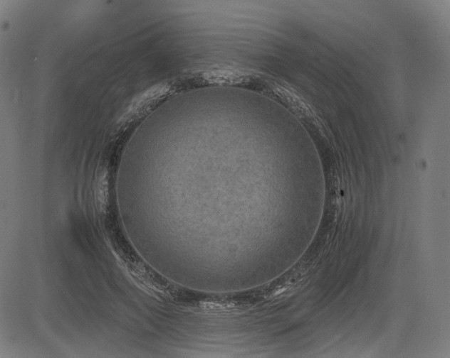 X0000085270690200703091352