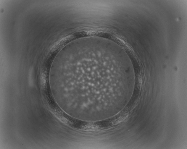 X0000085270691200703091352