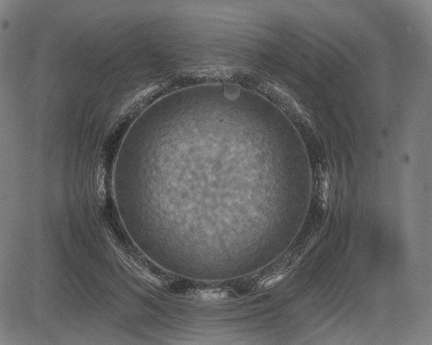 X0000085270692200703091352