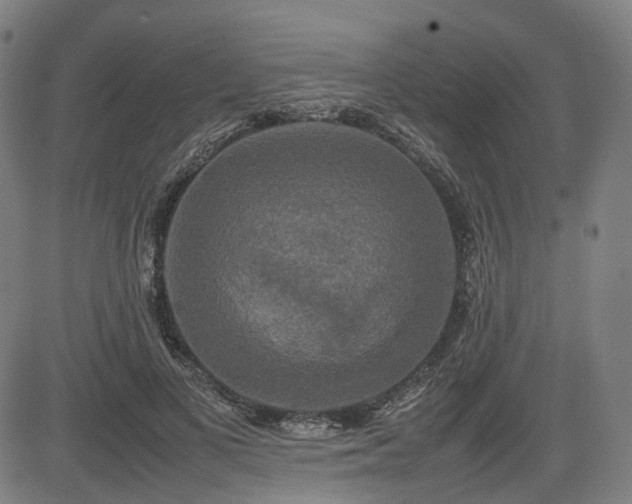 X0000085270693200703091352