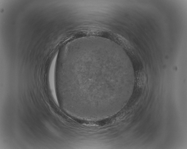 X0000085270695200703091352