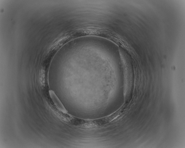 X0000085270696200703091352