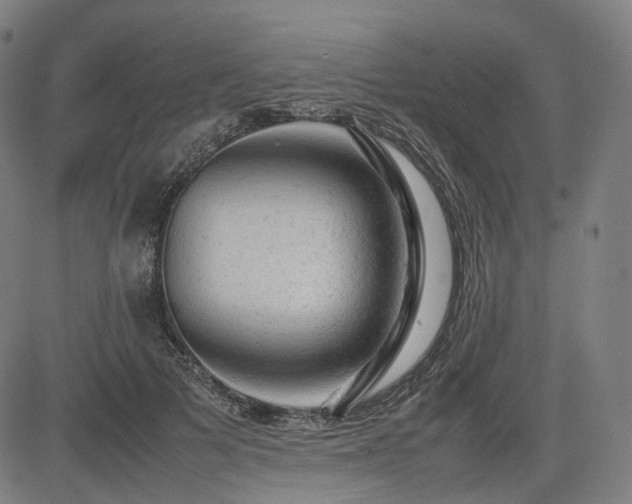 X0000085270697200703091352