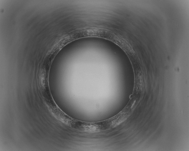 X0000085270698200703091352