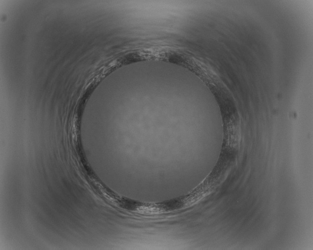 X0000085270699200703091352