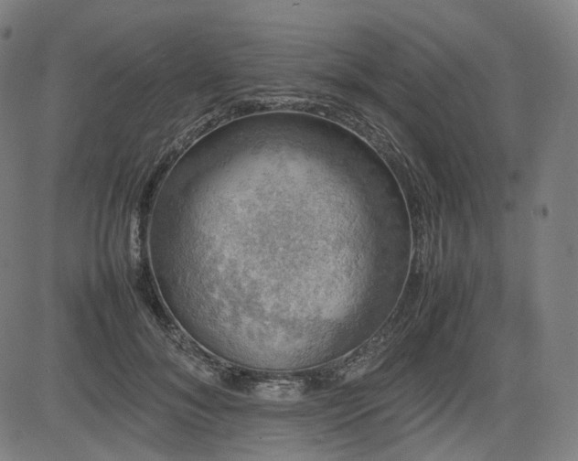 X0000085270700200703091352