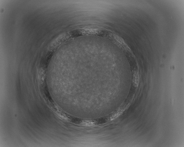 X0000085270701200703091352