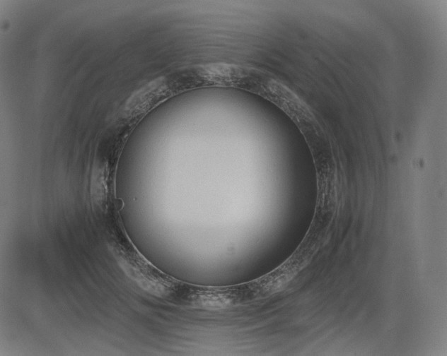 X0000085270702200703091352