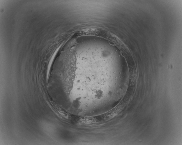 X0000085270703200703091352