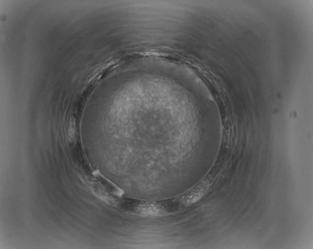 X0000085270704200703091352