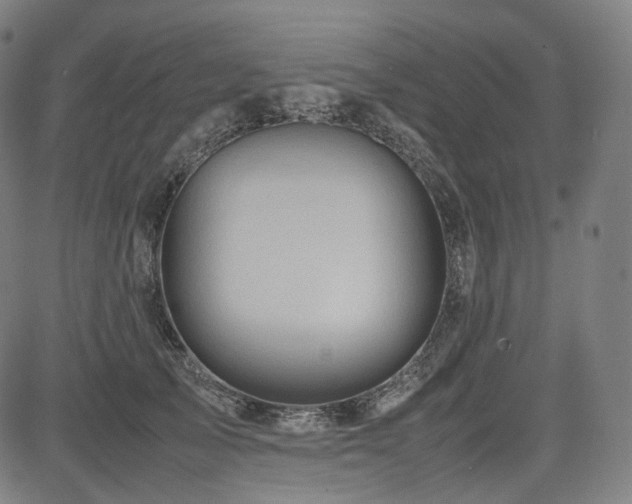 X0000085270705200703091352