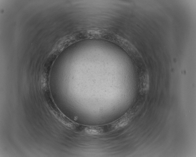 X0000085270706200703091352