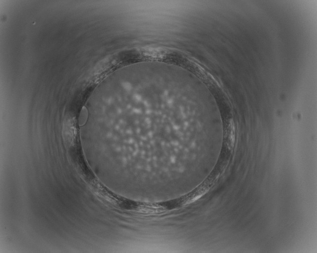 X0000085270707200703091352