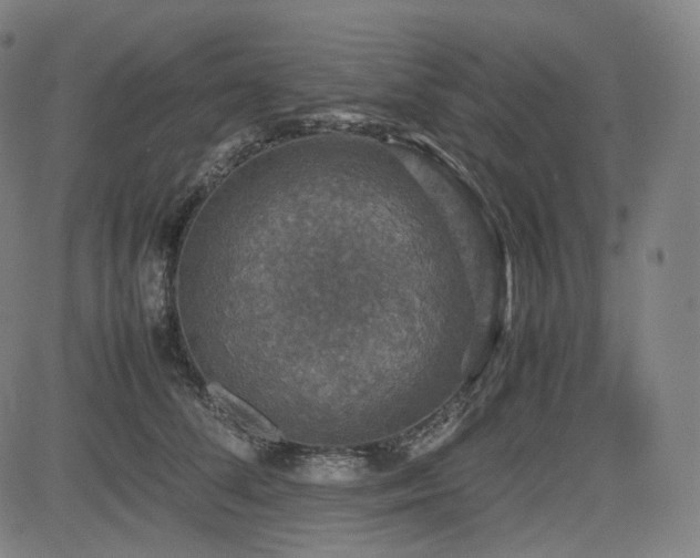 X0000085270708200703091352