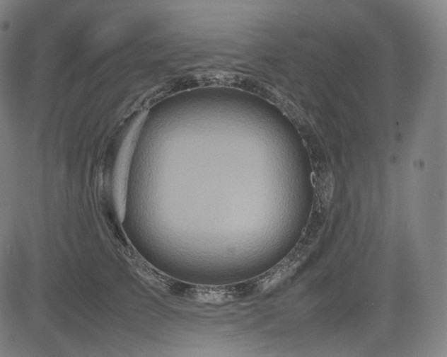 X0000085270709200703091352