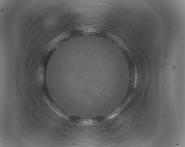 X0000085270710200703091352