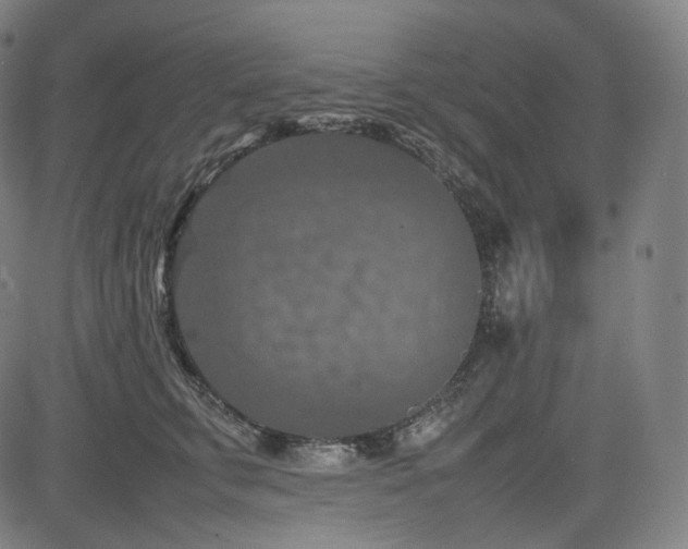 X0000085270711200703091352