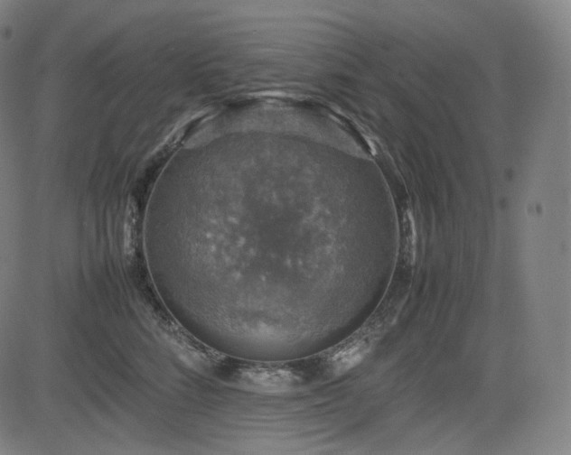 X0000085270712200703091352