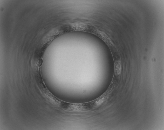 X0000085270713200703091352