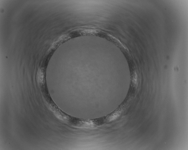 X0000085270715200703091352