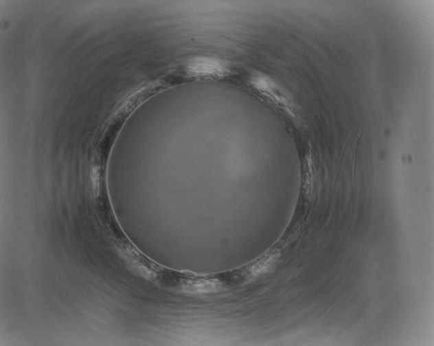 X0000085270716200703091352