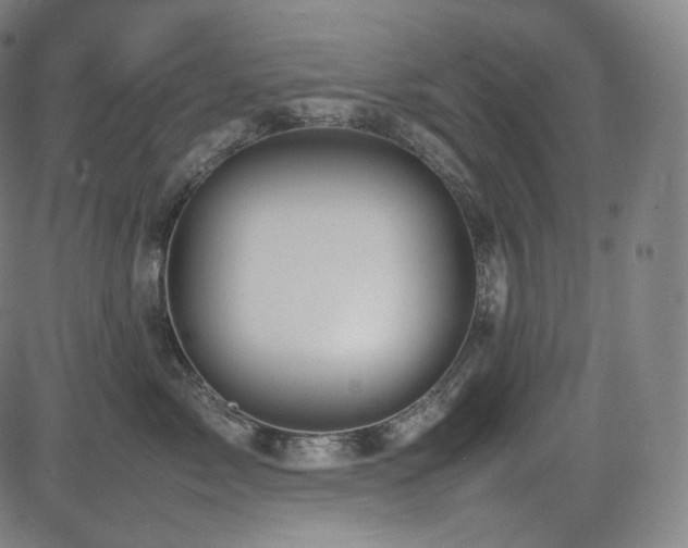 X0000085270717200703091352