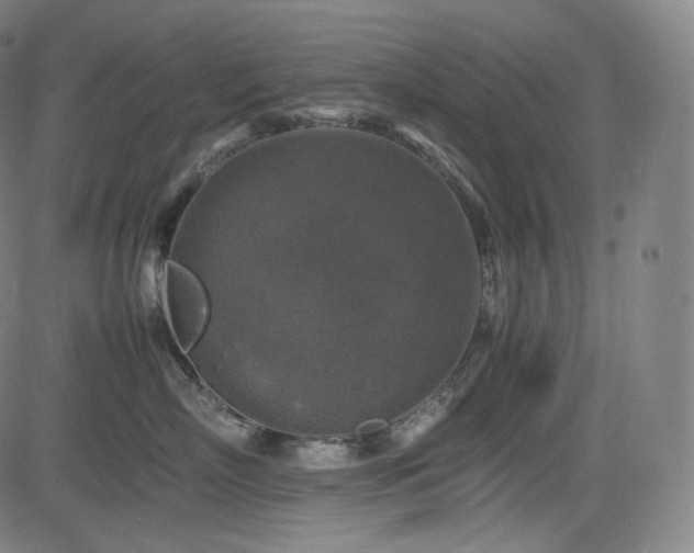 X0000085270718200703091352