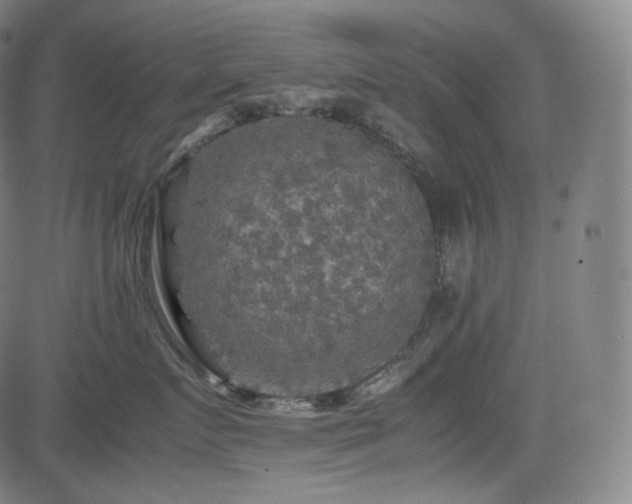 X0000085270719200703091352