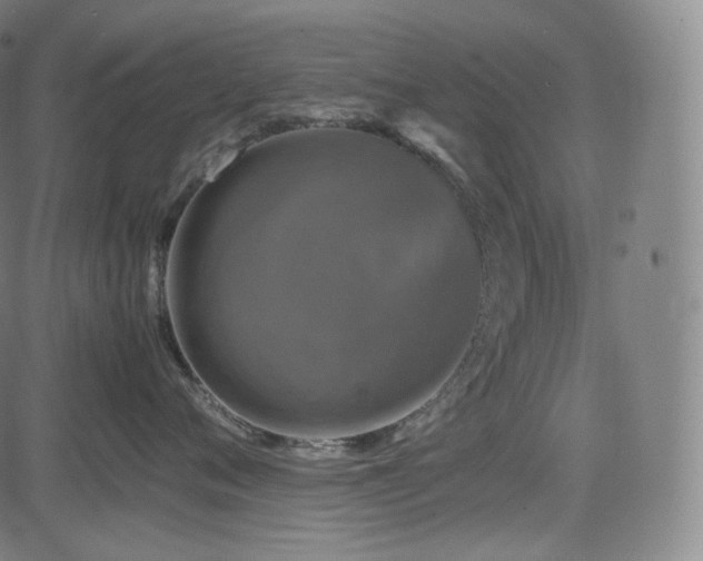 X0000085270720200703091352