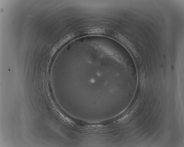 X0000085270721200703091351