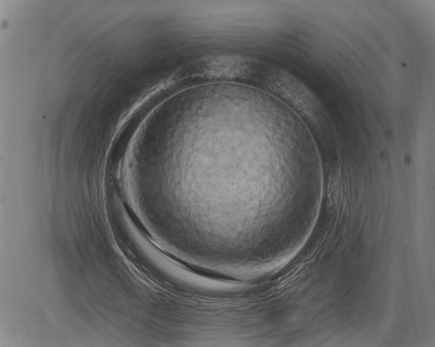 X0000085270722200703091351