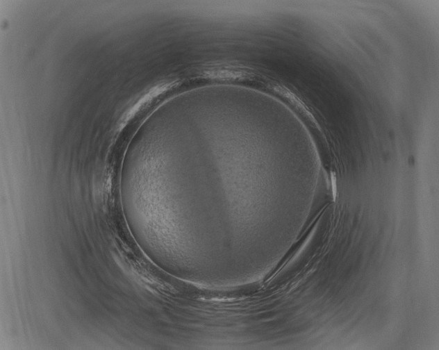 X0000085270723200703091351