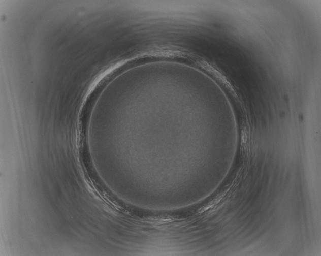 X0000085270724200703091351