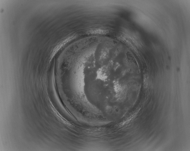 X0000085270725200703091351