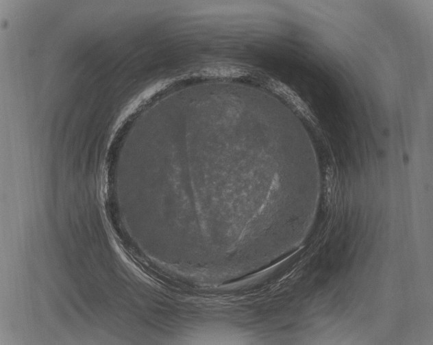 X0000085270726200703091351