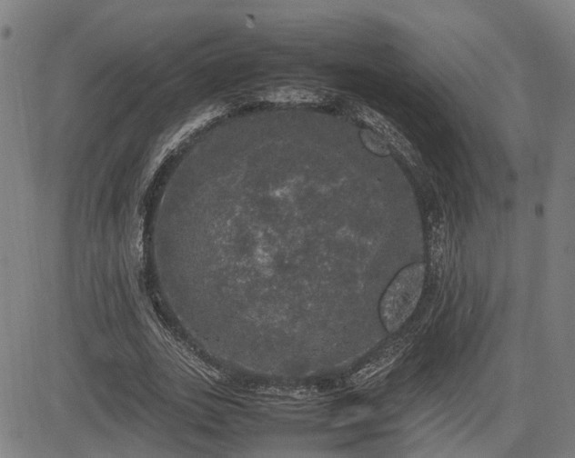 X0000085270727200703091351