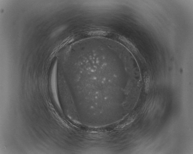 X0000085270729200703091351