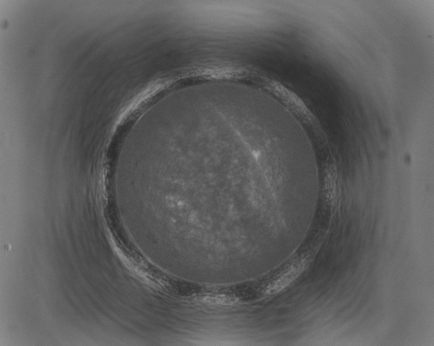 X0000085270730200703091351