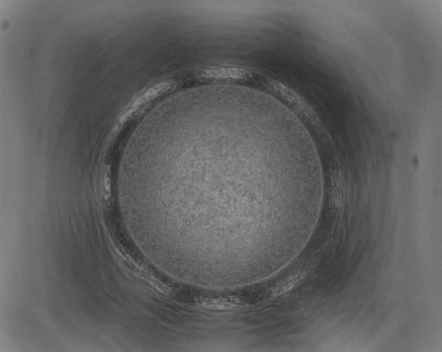 X0000085270731200703091351