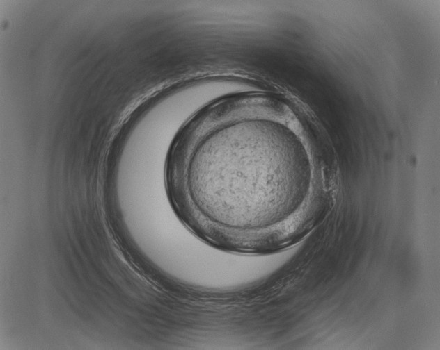 X0000085270732200703091351