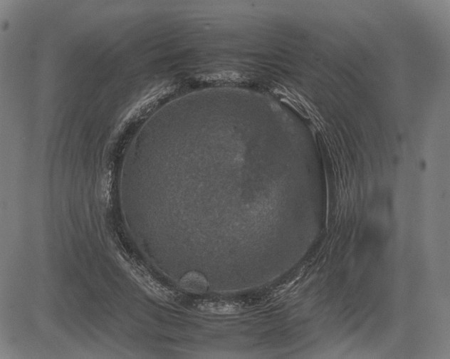 X0000085270735200703091351