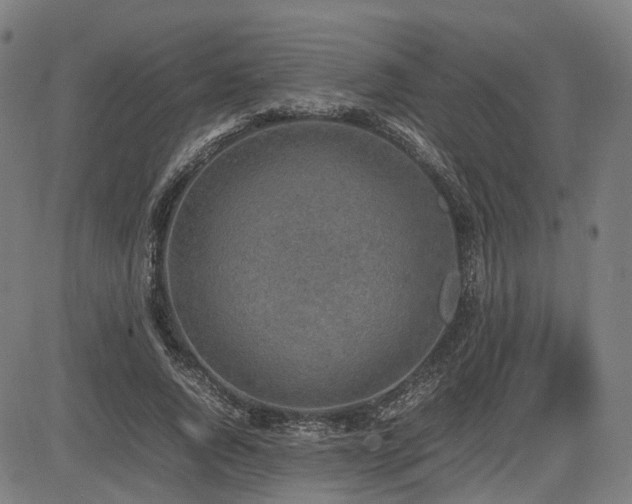 X0000085270736200703091351