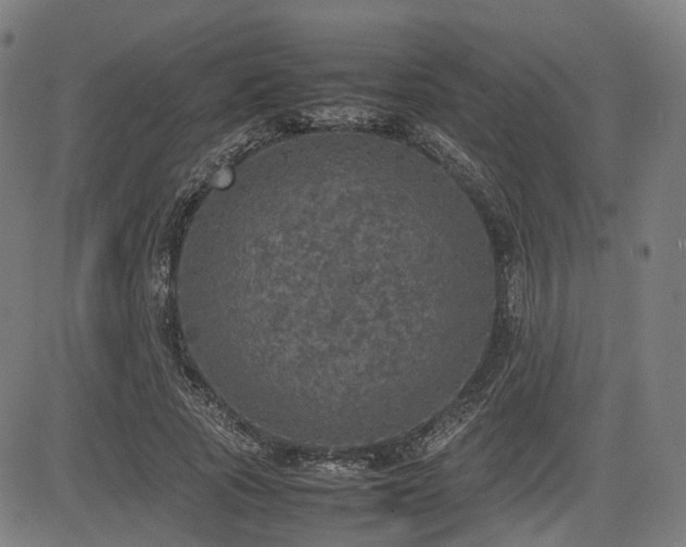 X0000085270737200703091351